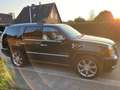 Cadillac Escalade Escalade 6.2 V8 Elegance - wenig km, top gepflegt Bej - thumbnail 7