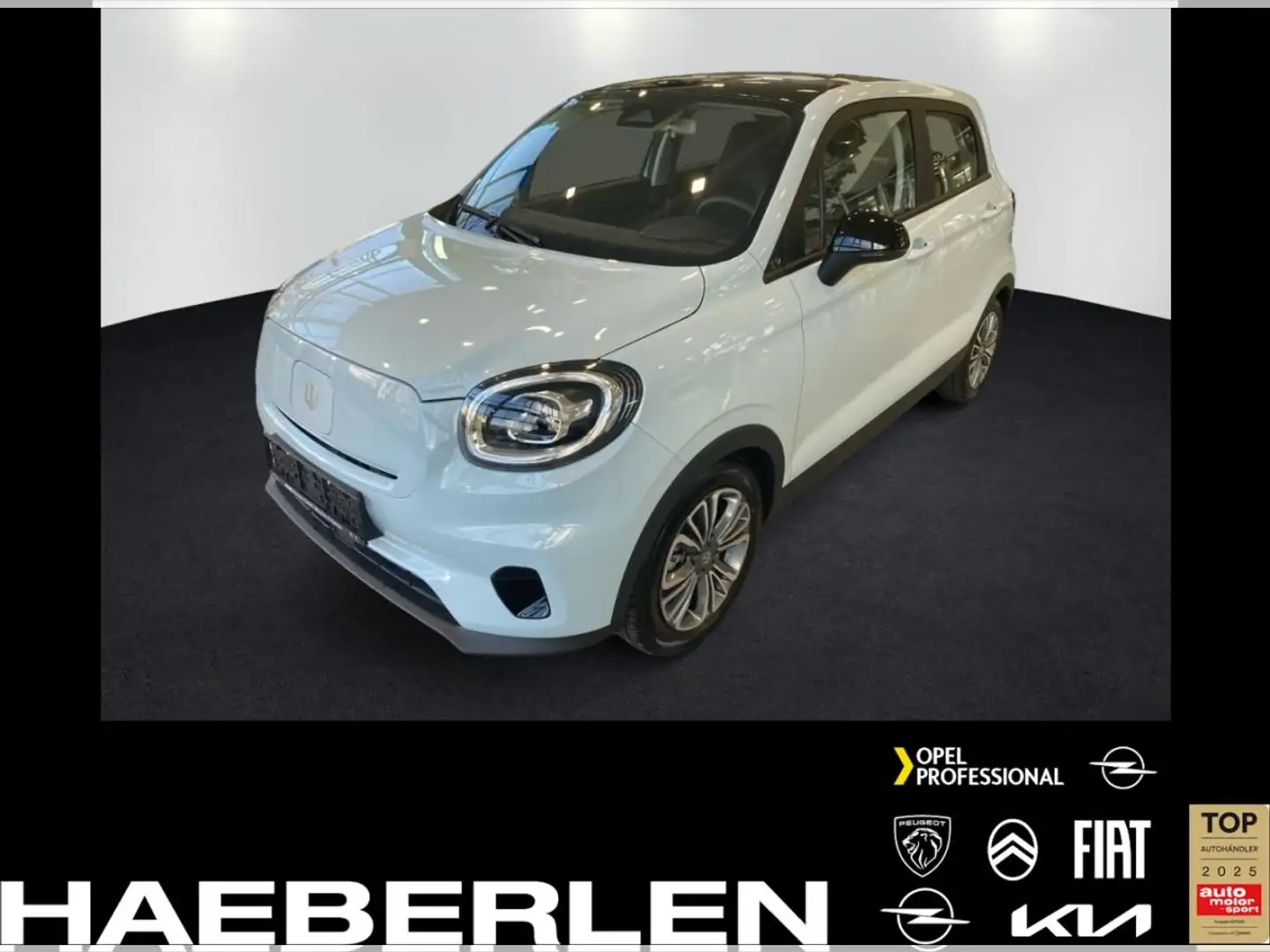 Leapmotor T03 SONDERANGEBOT 🔥 / PRIVAT UND GEWERBE Grün - 1