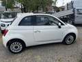 Fiat 500 500 1.2 Lounge easypower Gpl 69cv my19 Blanc - thumbnail 4