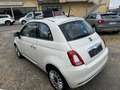 Fiat 500 500 1.2 Lounge easypower Gpl 69cv my19 Blanc - thumbnail 7