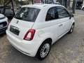 Fiat 500 500 1.2 Lounge easypower Gpl 69cv my19 Blanc - thumbnail 5