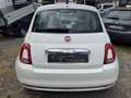 Fiat 500 500 1.2 Lounge easypower Gpl 69cv my19 Blanc - thumbnail 6