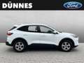 Ford Kuga 2.5 PHEV COOL & CONNECT Weiß - thumbnail 6
