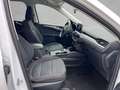Ford Kuga 2.5 PHEV COOL & CONNECT Weiß - thumbnail 3