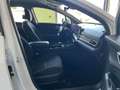 Kia Sportage 1.6 T-GDi PHEV Drive 4x4 265 Blanco - thumbnail 18