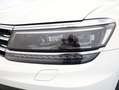 Volkswagen Tiguan Sky TDI SCR 4MOTION DSG Weiß - thumbnail 28