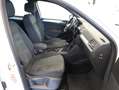 Volkswagen Tiguan Sky TDI SCR 4MOTION DSG Weiß - thumbnail 9