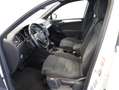 Volkswagen Tiguan Sky TDI SCR 4MOTION DSG Weiß - thumbnail 12