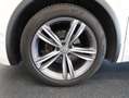 Volkswagen Tiguan Sky TDI SCR 4MOTION DSG Weiß - thumbnail 29