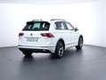 Volkswagen Tiguan Sky TDI SCR 4MOTION DSG Weiß - thumbnail 5