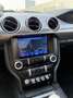 Ford Mustang Ford mustang Bullitt NO SUPERBOLLO - thumbnail 6
