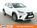 Lexus NX 300h NX 300h Amazing Edition Aut.*LED*CAM*TEMPO*SHZ*LHZ Blanc - thumbnail 8