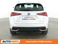 Lexus NX 300h NX 300h Amazing Edition Aut.*LED*CAM*TEMPO*SHZ*LHZ Blanc - thumbnail 5