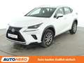 Lexus NX 300h NX 300h Amazing Edition Aut.*LED*CAM*TEMPO*SHZ*LHZ Blanc - thumbnail 1