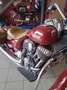 Indian Chief Vintage Rood - thumbnail 12