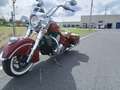Indian Chief Vintage Rouge - thumbnail 7