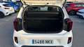 Kia Picanto 1.0 CONCEPT 68 5P Blanco - thumbnail 8