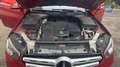Mercedes-Benz GLC 300 300 d 245 4Matic 9G-Tronic Executive - Automatique Toit ouvrant Roşu - thumbnail 15