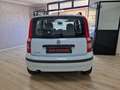 Fiat Panda 1.2 Dynamic Blu/Azzurro - thumbnail 4