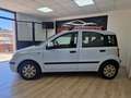 Fiat Panda 1.2 Dynamic Blu/Azzurro - thumbnail 9