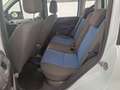 Fiat Panda 1.2 Dynamic Blu/Azzurro - thumbnail 14