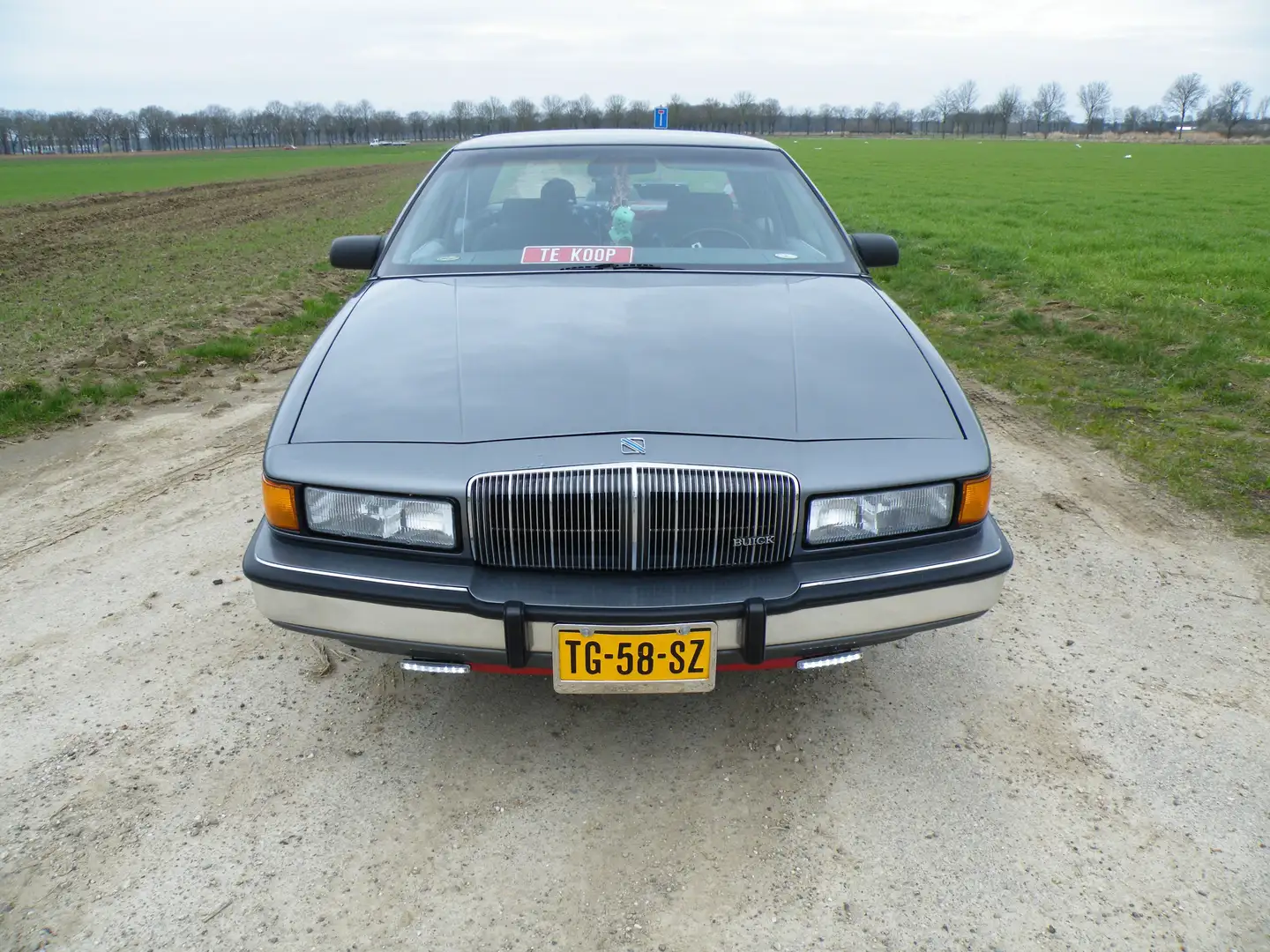 Buick Regal 3.1 Limited Coupé Gris - 2