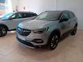 Opel Grandland X 1.5CDTi S&S Ultimate AT8 130 Gris - thumbnail 1