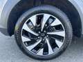 Ford Flex 1.0 Flexifuel 125ch S\u0026S mHEV Titanium Busines Grijs - thumbnail 14