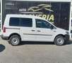Volkswagen Caddy Profesion Maxi Kombi 2.0 TDI 90kW 4Mot Wit - thumbnail 4