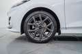 Ford Fiesta 1.0 EcoBoost MHEV ST Line 125 Blanco - thumbnail 11