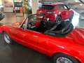 Alfa Romeo Spider Junior 1300 Portocaliu - thumbnail 13