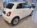 Fiat 500 1.0i MHEV Dolcevita XXX 0KM XXX GARANTIE 2 ANS XXX Blanc - thumbnail 5