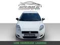 Fiat Grande Punto 1,2**NUR 79.000KM**NEUES PICKERL 8/2026*MOD2011 Blanco - thumbnail 2