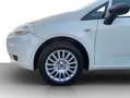 Fiat Grande Punto 1,2**NUR 79.000KM**NEUES PICKERL 8/2026*MOD2011 Blanco - thumbnail 20