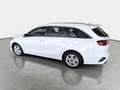 Kia Ceed SW / cee'd SW CEED SW 1.5 T-GDI DCT7 ULTIMATE EDITION MJ25 Weiß - thumbnail 6