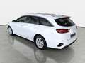 Kia Ceed SW / cee'd SW CEED SW 1.5 T-GDI DCT7 ULTIMATE EDITION MJ25 Weiß - thumbnail 5