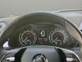 Skoda Kamiq Drive 125 Azul - thumbnail 13