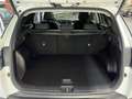 Hyundai TUCSON 1.6 TGDI 48V Tecno 2C 4x2 DT Blanco - thumbnail 34