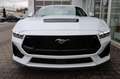 Ford Mustang Fastback B&O Sound-System 4,99% FIN* Weiß - thumbnail 3