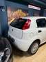 Fiat Punto PUNTO 1.4CC 77CV BENZINA E GPL Bianco - thumbnail 6