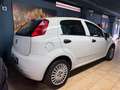 Fiat Punto PUNTO 1.4CC 77CV BENZINA E GPL Bianco - thumbnail 5