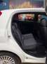 Fiat Punto PUNTO 1.4CC 77CV BENZINA E GPL Bianco - thumbnail 8
