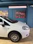 Fiat Punto PUNTO 1.4CC 77CV BENZINA E GPL Bianco - thumbnail 3
