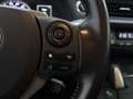 Lexus CT 200h Business Line Pro  | Adaptive Cruise Control | Nav Zwart - thumbnail 22
