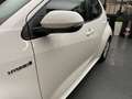 Toyota Yaris Hybrid Dynamic Business Multidrive ECVT Blanc - thumbnail 10