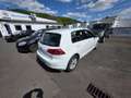 Volkswagen Golf VII 1.6 TDI Comfortline BMT 77 kW (105 PS), Sch... White - thumbnail 3
