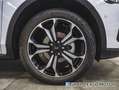 Ford Focus 1.0 ECOBOOST MHEV 114KW ACTIVE 155 5P Blanco - thumbnail 8