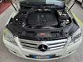 Mercedes-Benz GLK 220 cdi Sport 4M auto TUTTI TAGLIANDI MERCEDES GARANZI Blanc - thumbnail 13
