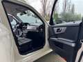 Mercedes-Benz GLK 220 cdi Sport 4M auto TUTTI TAGLIANDI MERCEDES GARANZI Blanc - thumbnail 17