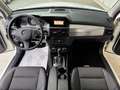 Mercedes-Benz GLK 220 cdi Sport 4M auto TUTTI TAGLIANDI MERCEDES GARANZI Blanc - thumbnail 10